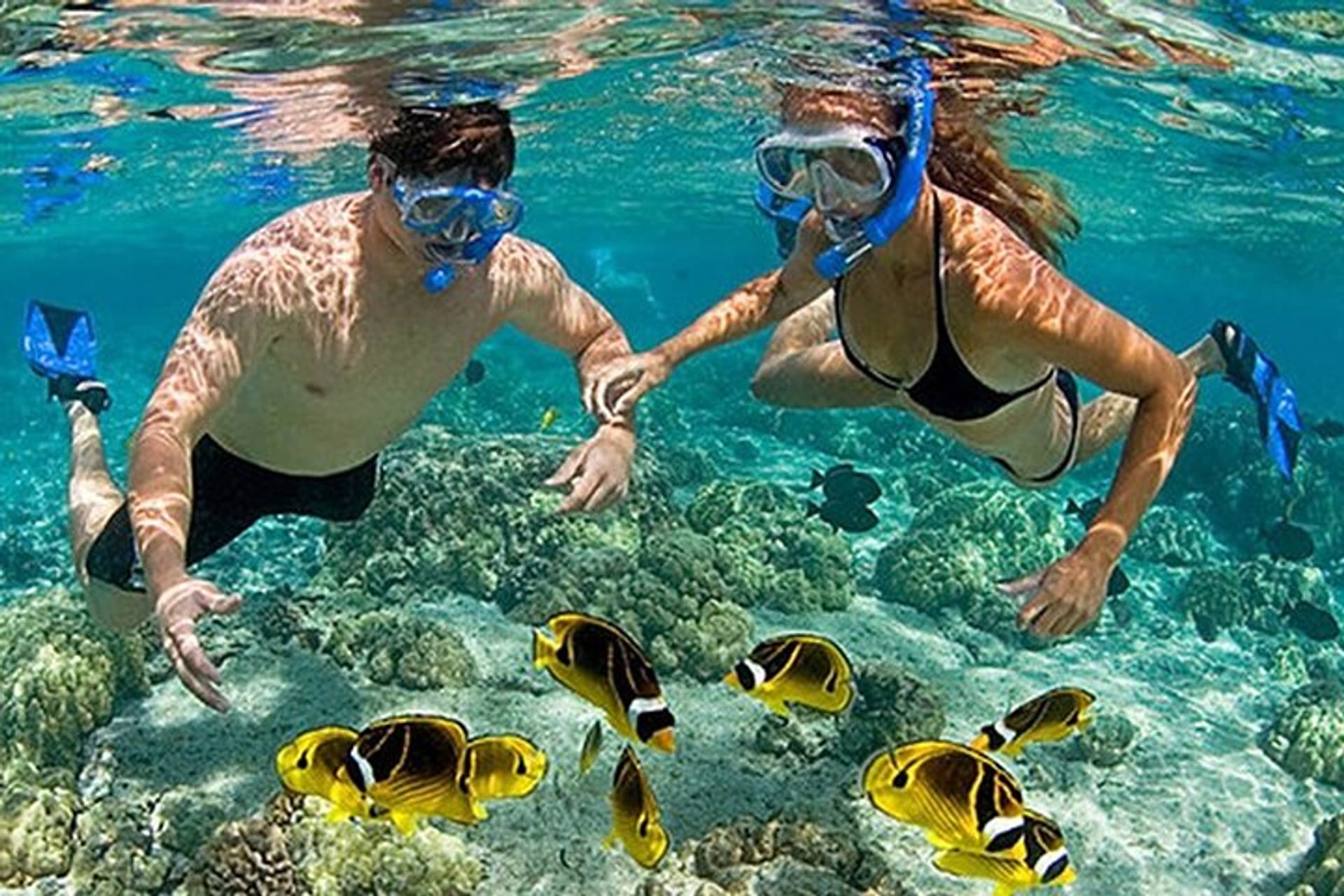 Krabi Snorkeling Tour Package 3 Days 2 Nights (Full Package Trip)